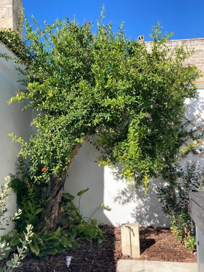 Il Palmento B&B Palmariggi 외부 사진